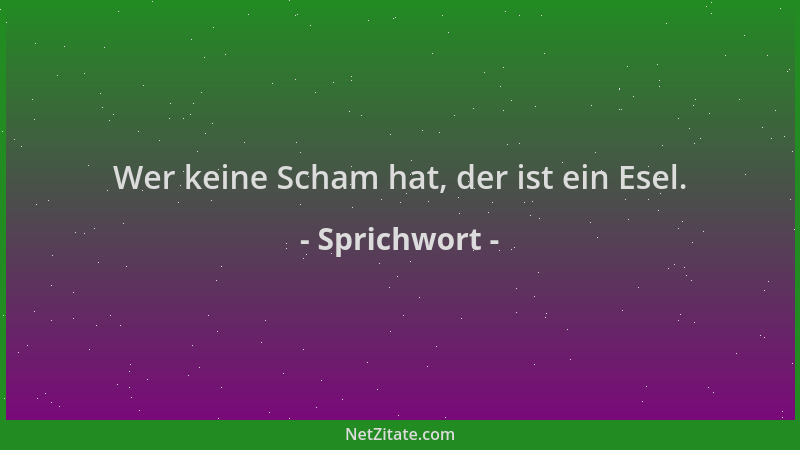 Sprichwort - Wer keine Scham hat, der ist ein Esel....