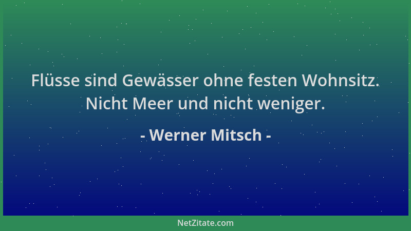 Werner Mitsch - Flüsse sind Gewässer ohne festen Wohnsitz. Nicht Meer und nicht weniger....