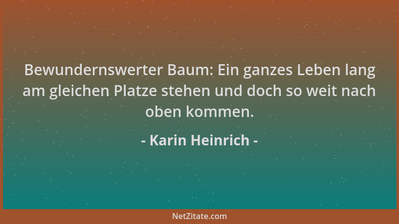 Karin Heinrich - Bewundernswerter Baum: Ein ganzes Leben lang am gleichen Platze stehen und doch so weit nach oben kommen....