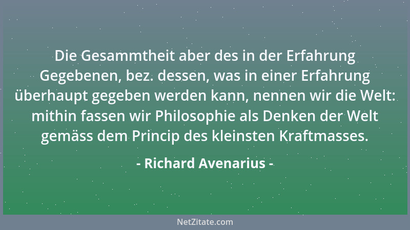 Richard Avenarius - Die Gesammtheit aber des in der Erfahrung Gegebenen, bez. dessen, was in einer Erfahrung überhaupt gege...