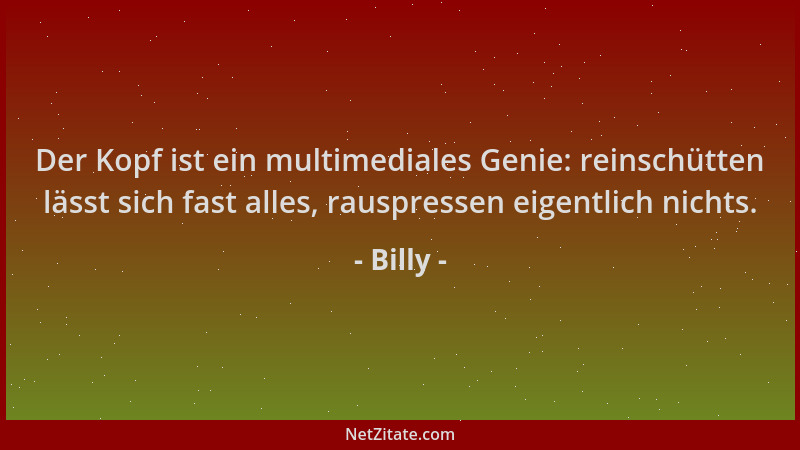 Billy - Der Kopf ist ein multimediales Genie: reinschütten lässt sich fast alles, rauspressen eigentlich nichts....