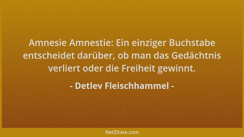 Detlev Fleischhammel - Amnesie Amnestie: Ein einziger Buchstabe entscheidet darüber, ob man das Gedächtnis verliert oder di...