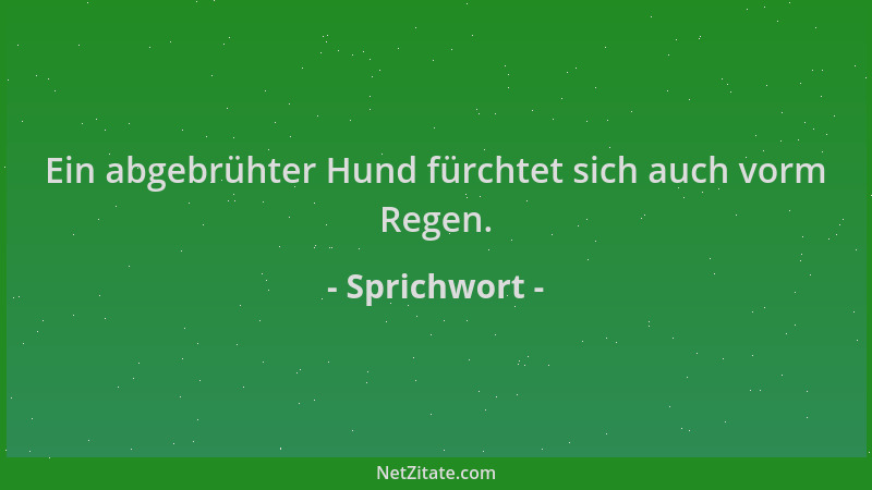 Sprichwort - Ein abgebrühter Hund fürchtet sich auch vorm Regen....