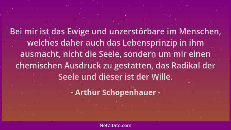 Arthur Schopenhauer - Bei mir ist das Ewige und unzerstörbare im Menschen, welches daher auch das Lebensprinzip in ihm ausm...