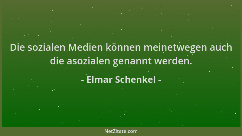 Elmar Schenkel - Die sozialen Medien können meinetwegen auch die asozialen genannt werden....