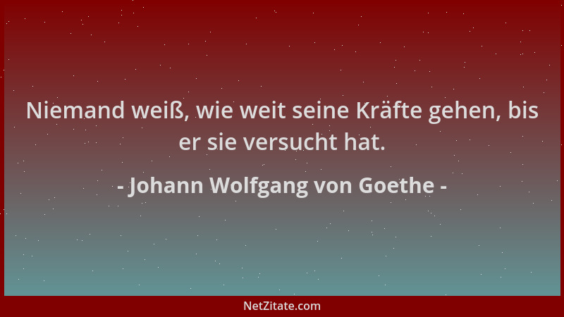 Johann Wolfgang von Goethe - Niemand weiß, wie weit seine Kräfte gehen, bis er sie versucht hat....