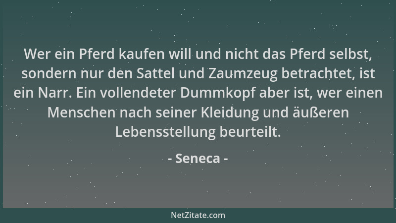 Seneca - Wer ein Pferd kaufen will und nicht das Pferd selbst, sondern nur den Sattel und Zaumzeug betrachtet, ist ein Narr...