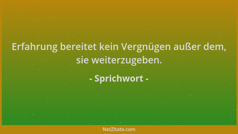 Sprichwort - Erfahrung bereitet kein Vergnügen außer dem, sie weiterzugeben....