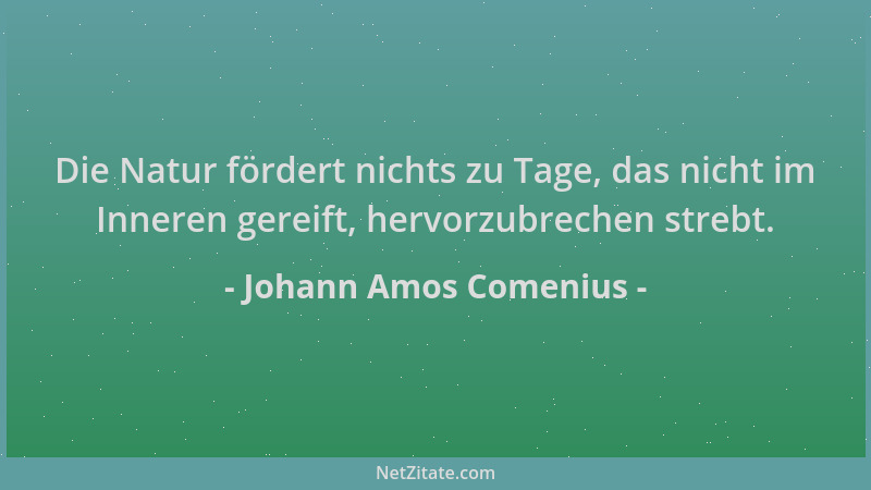 Johann Amos Comenius - Die Natur fördert nichts zu Tage, das nicht im Inneren gereift, hervorzubrechen strebt....
