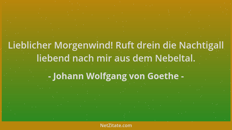 Johann Wolfgang von Goethe - Lieblicher Morgenwind! Ruft drein die Nachtigall liebend nach mir aus dem Nebeltal....