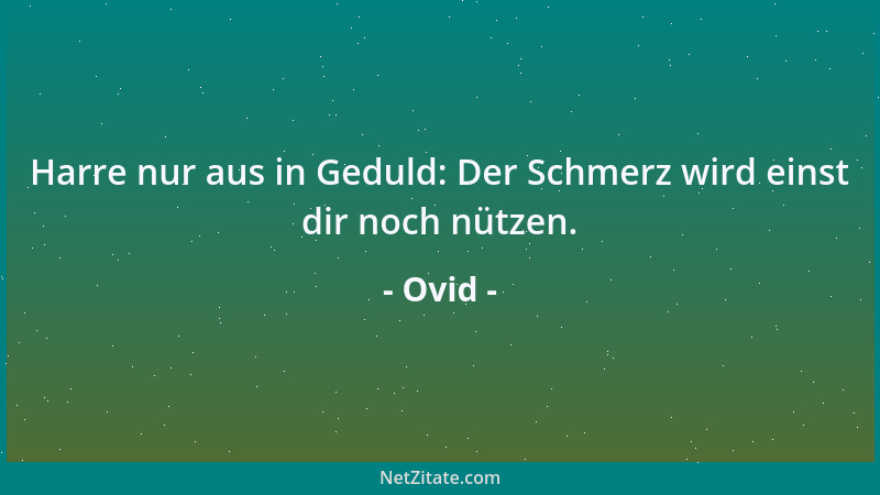 Ovid - Harre nur aus in Geduld: Der Schmerz wird einst dir noch nützen....