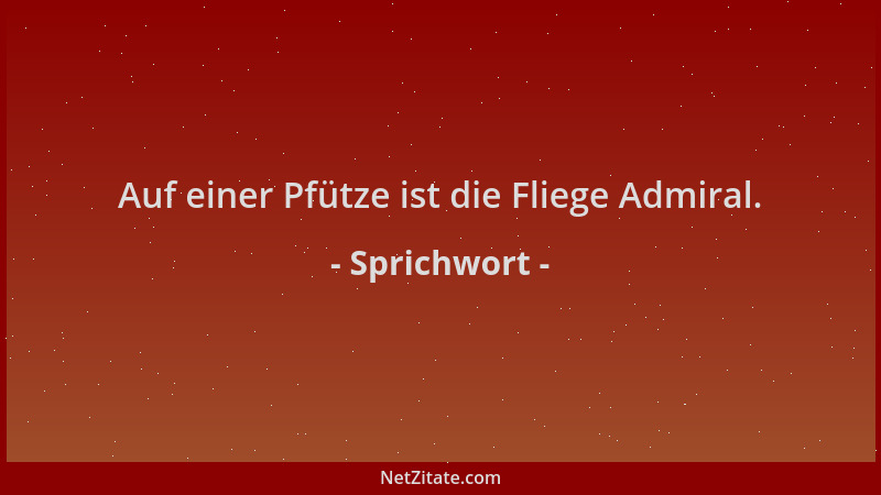 Sprichwort - Auf einer Pfütze ist die Fliege Admiral....