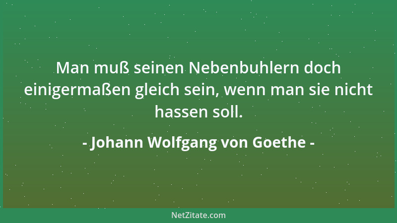 Johann Wolfgang von Goethe - Nichts hat die Welt nötiger als Tüchtigkeit, und nichts vermag sie weniger zu ertragen....