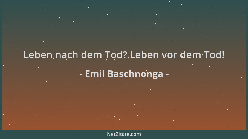 Emil Baschnonga - Leben nach dem Tod? Leben vor dem Tod!...