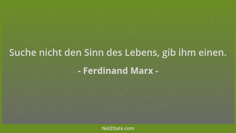 Ferdinand Marx - Suche nicht den Sinn des Lebens, gib ihm einen....