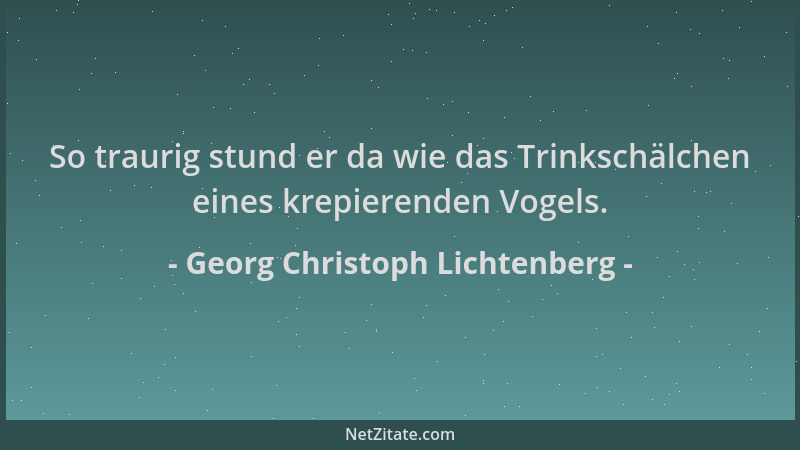 Georg Christoph Lichtenberg - So traurig stund er da wie das Trinkschälchen eines krepierenden Vogels....