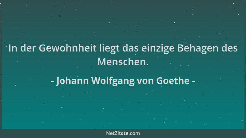 Johann Wolfgang von Goethe - In der Gewohnheit liegt das einzige Behagen des Menschen....