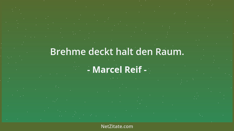 Marcel Reif - Brehme deckt halt den Raum....
