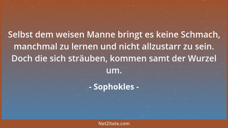 Sophokles - Hast du bei einem Werk den Anfang gut gemacht, das Ende wird gewiß nicht minder glücklich sein....