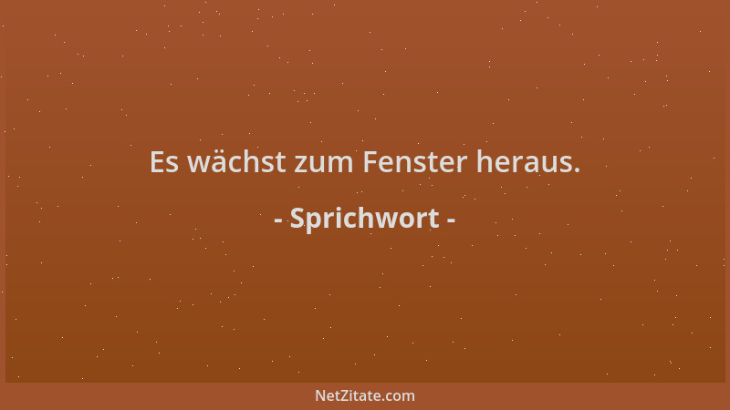 Sprichwort - Es wächst zum Fenster heraus....