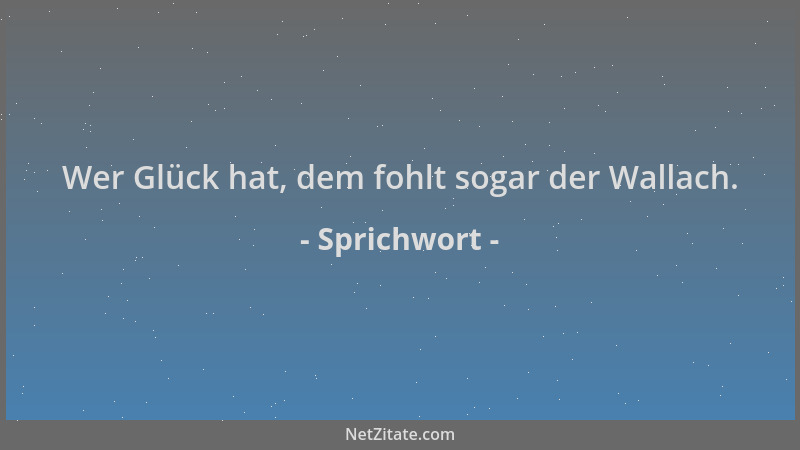 Sprichwort - Wer Glück hat, dem fohlt sogar der Wallach....