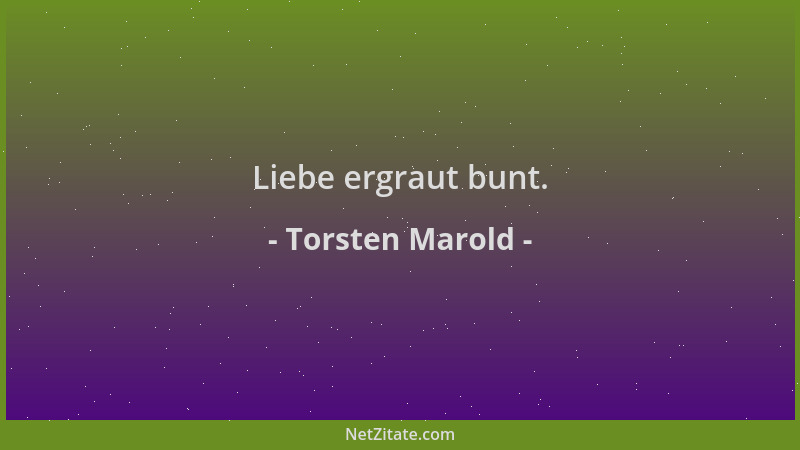 Torsten Marold - Liebe ergraut bunt....
