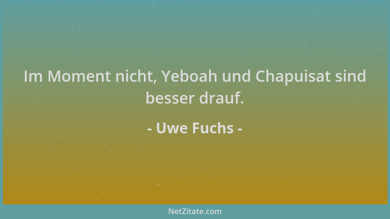 Uwe Fuchs - Im Moment nicht, Yeboah und Chapuisat sind besser drauf....
