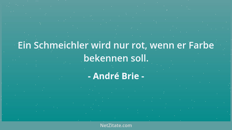 André Brie - Ein Schmeichler wird nur rot, wenn er Farbe bekennen soll....