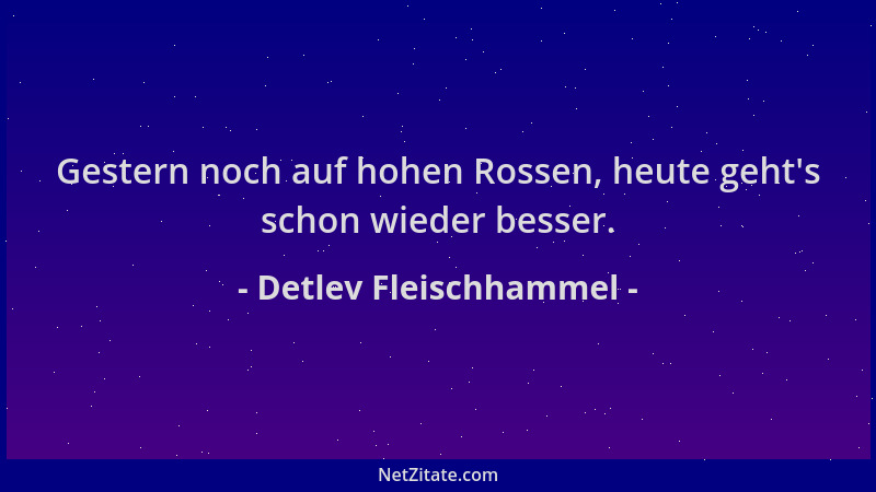 Detlev Fleischhammel - Gestern noch auf hohen Rossen, heute geht 's schon wieder besser....