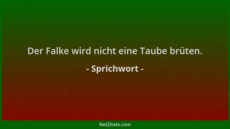 Sprichwort - Der Falke wird nicht eine Taube brüten....