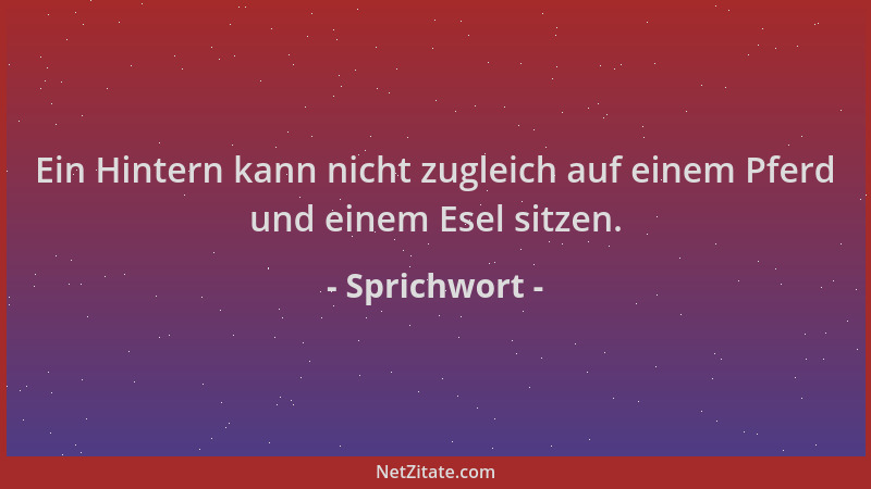 Sprichwort - Ein Hintern kann nicht zugleich auf einem Pferd und einem Esel sitzen....