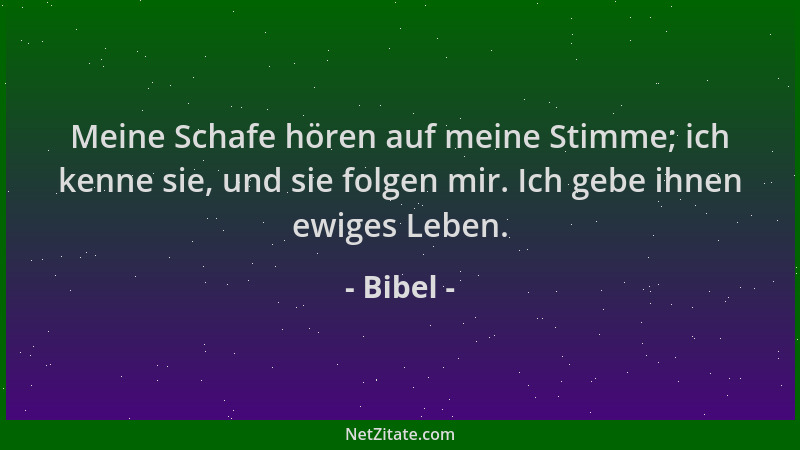 Bibel - Meine Schafe hören auf meine Stimme; ich kenne sie, und sie folgen mir. Ich gebe ihnen ewiges Leben....