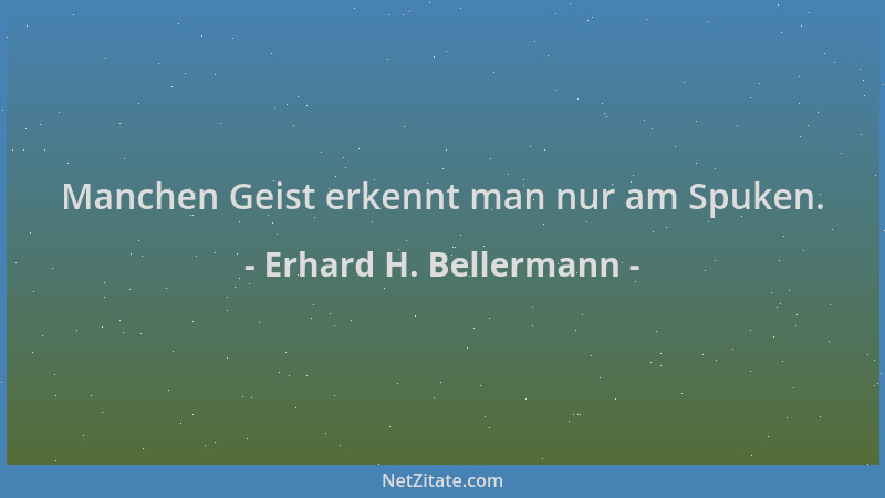 Erhard H. Bellermann - Manchen Geist erkennt man nur am Spuken....