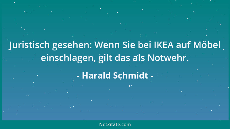 Harald Schmidt - Juristisch gesehen: Wenn Sie bei IKEA auf Möbel einschlagen, gilt das als Notwehr....