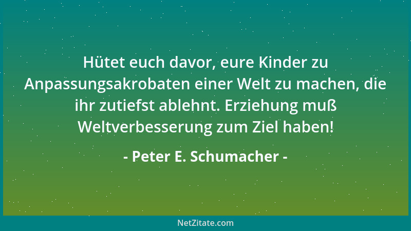 Peter E. Schumacher - Die Überflieger haben gelernt, daß man abheben kann, nun müssen sie nur noch lernen, wie man möglichs...