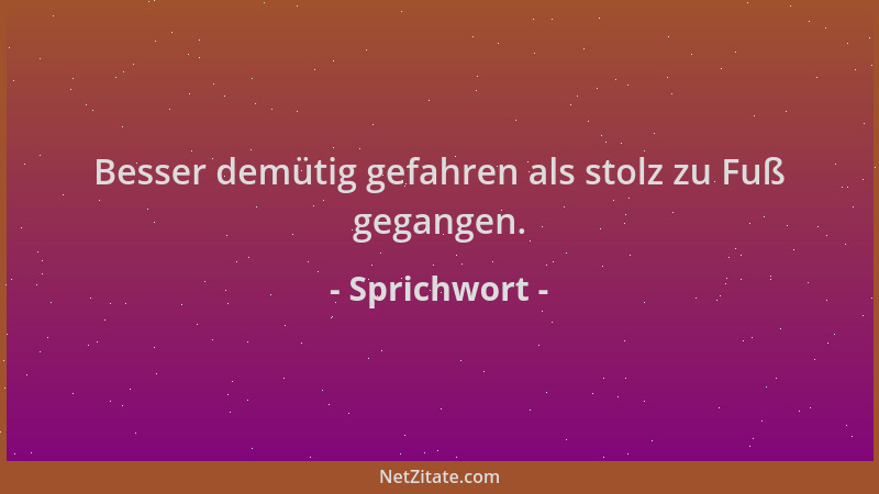 Sprichwort - Besser demütig gefahren als stolz zu Fuß gegangen....