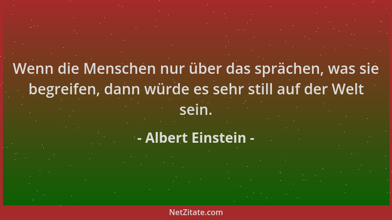 Albert Einstein - Wenn die Menschen nur über das sprächen, was sie begreifen, dann würde es sehr still auf der Welt sein....
