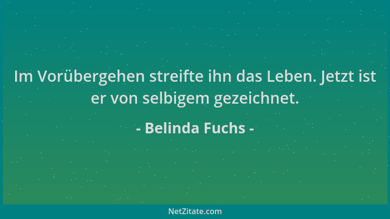Belinda Fuchs - Im Vorübergehen streifte ihn das Leben. Jetzt ist er von selbigem gezeichnet....