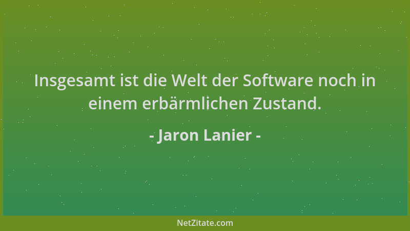 Jaron Lanier - Insgesamt ist die Welt der Software noch in einem erbärmlichen Zustand....