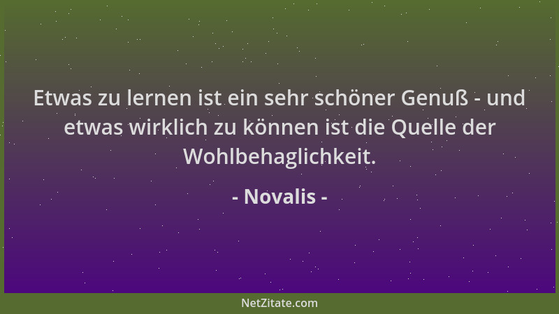 Novalis - Etwas zu lernen ist ein sehr schöner Genuß - und etwas wirklich zu können ist die Quelle der Wohlbehaglichkeit....
