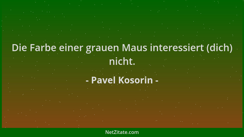 Pavel Kosorin - Die Farbe einer grauen Maus interessiert (dich) nicht....