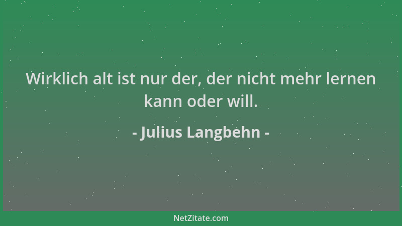 Julius Langbehn - Wirklich alt ist nur der, der nicht mehr lernen kann oder will....