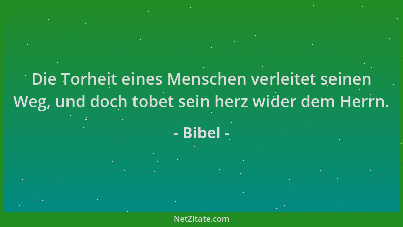 Bibel - Die Torheit eines Menschen verleitet seinen Weg, und doch tobet sein herz wider dem Herrn....