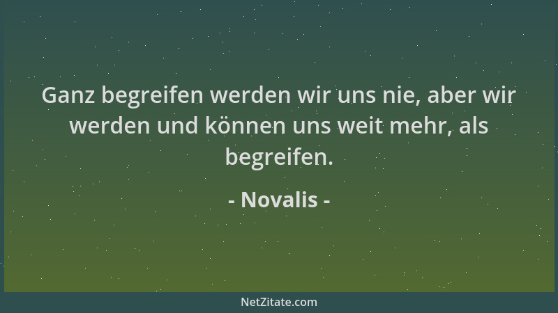 Novalis - Ganz begreifen werden wir uns nie, aber wir werden und können uns weit mehr, als begreifen....