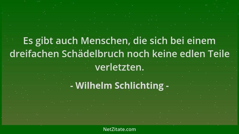 Wilhelm Schlichting - Es gibt auch Menschen, die sich bei einem dreifachen Schädelbruch noch keine edlen Teile verletzten....