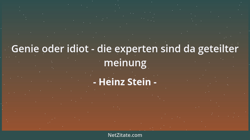 Heinz Stein - Genie oder idiot - die experten sind da geteilter meinung...
