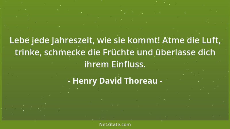 Henry David Thoreau - Lebe jede Jahreszeit, wie sie kommt! Atme die Luft, trinke, schmecke die Früchte und überlasse dich i...