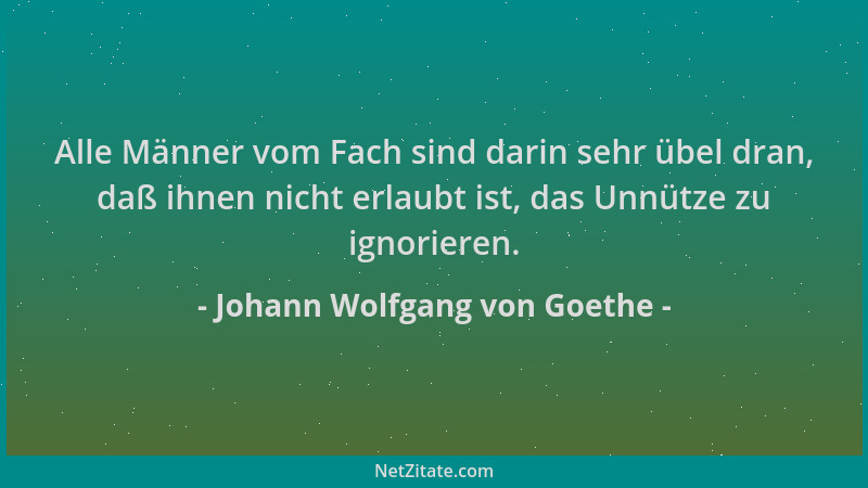 Johann Wolfgang von Goethe - Alle Männer vom Fach sind darin sehr übel dran, daß ihnen nicht erlaubt ist, das Unnütze zu ig...