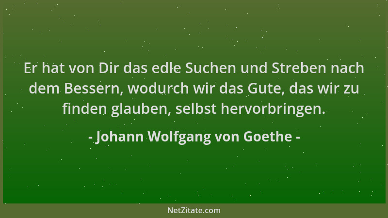 Johann Wolfgang von Goethe - Er hat von Dir das edle Suchen und Streben nach dem Bessern, wodurch wir das Gute, das wir zu...