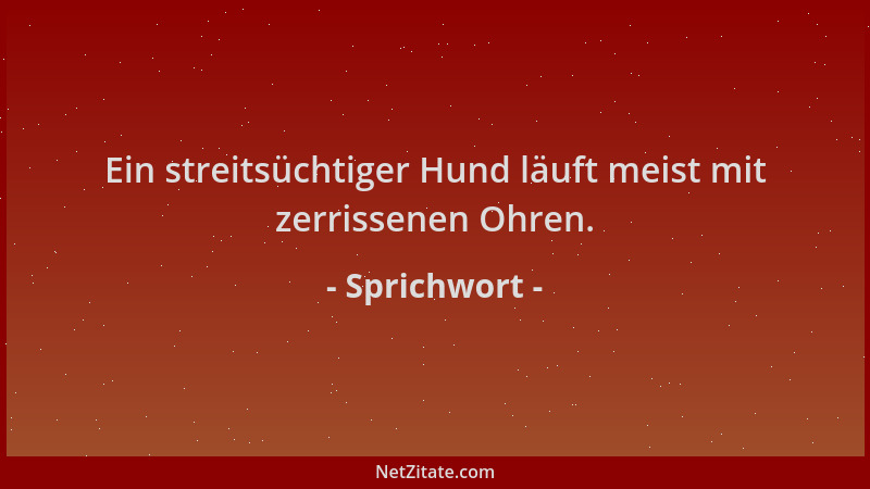 Sprichwort - Ein streitsüchtiger Hund läuft meist mit zerrissenen Ohren....